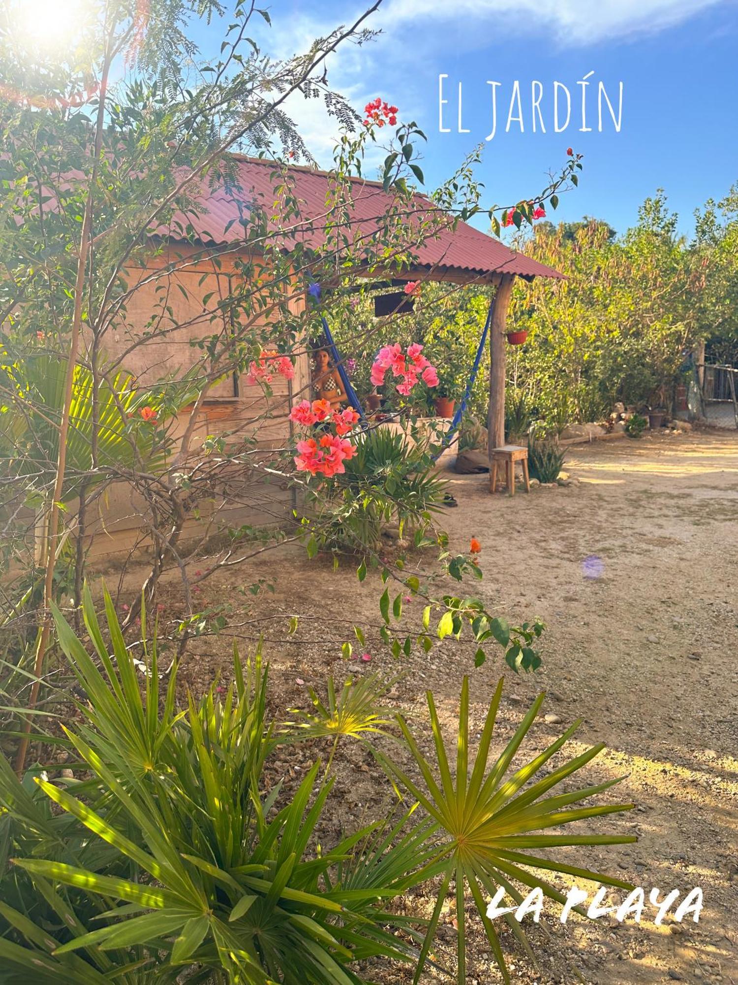 Hotel La Playa Mazunte Εξωτερικό φωτογραφία
