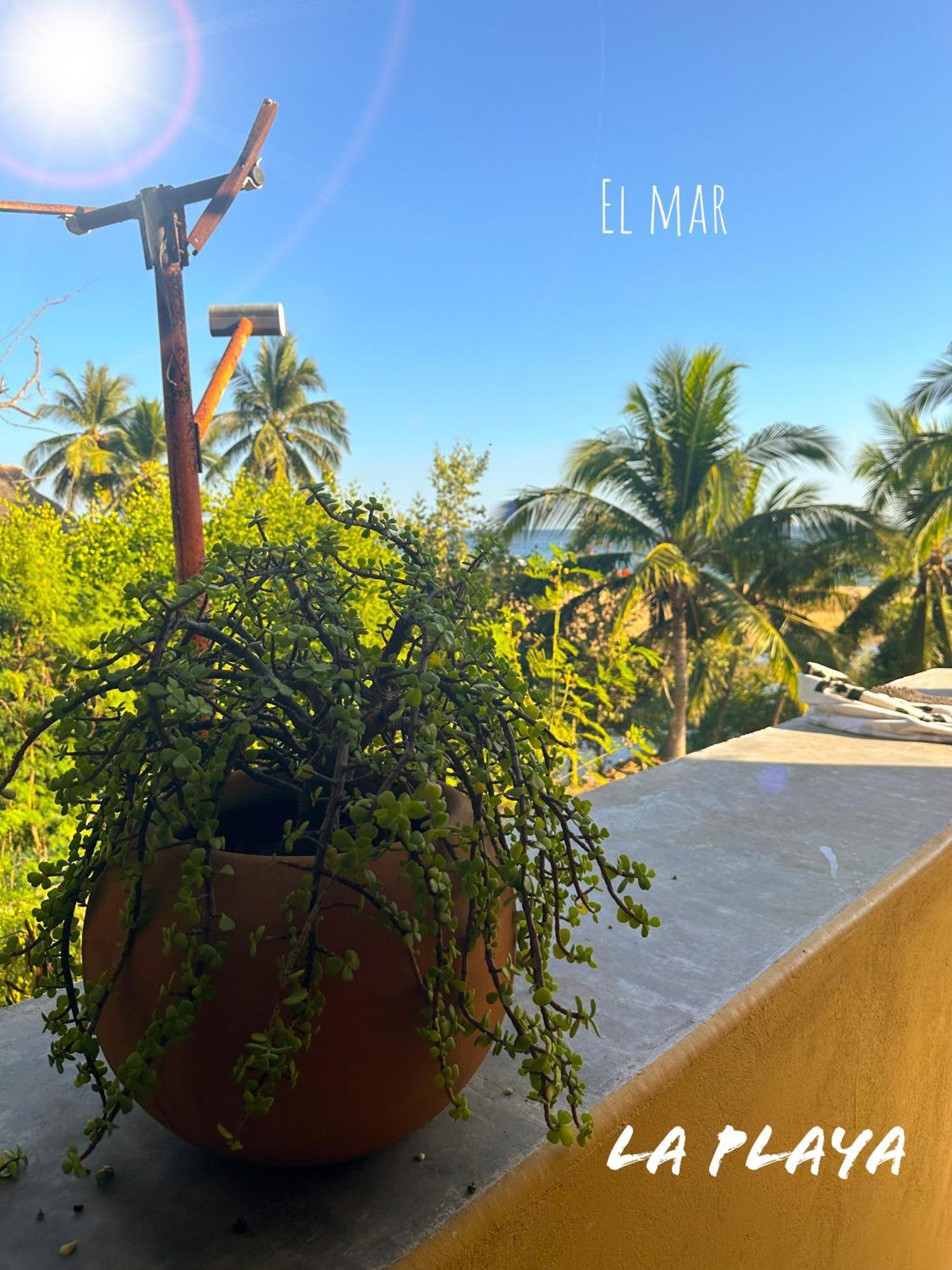 Hotel La Playa Mazunte Εξωτερικό φωτογραφία